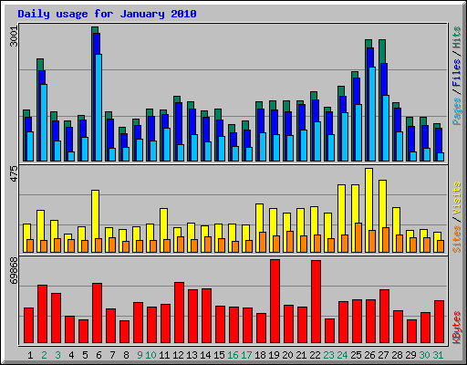 Daily usage for January 2010