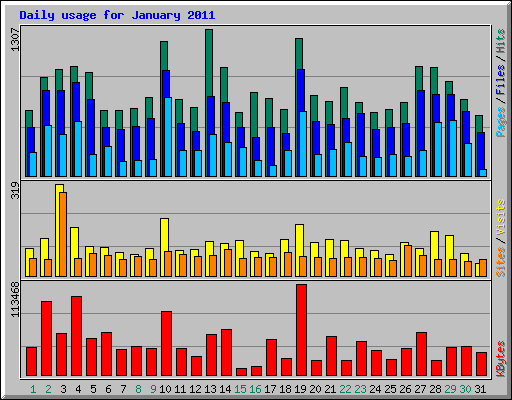 Daily usage for January 2011