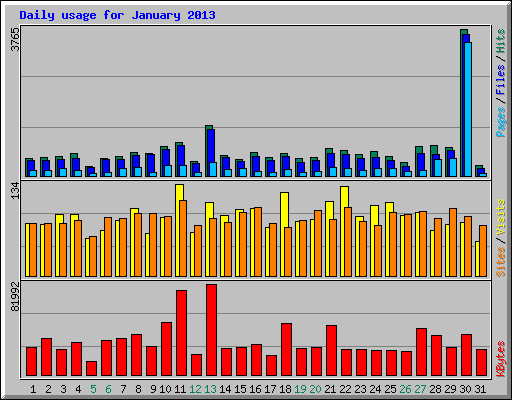 Daily usage for January 2013