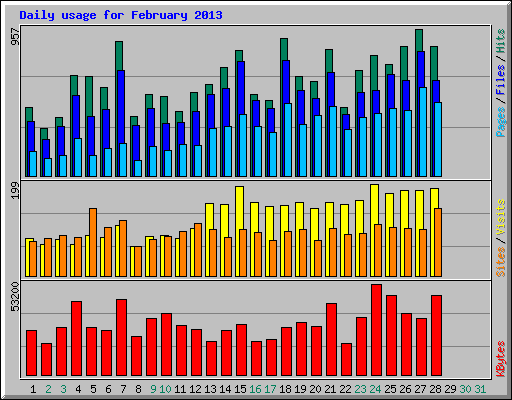 Daily usage for February 2013