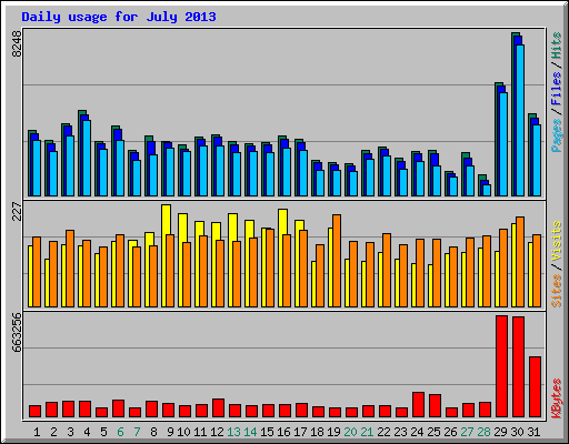 Daily usage for July 2013