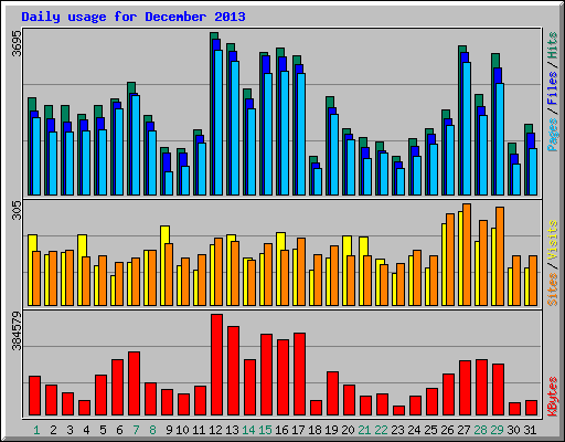 Daily usage for December 2013