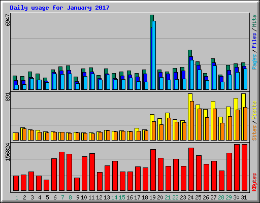 Daily usage for January 2017