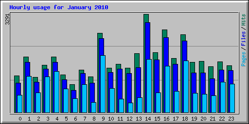 Hourly usage for January 2010