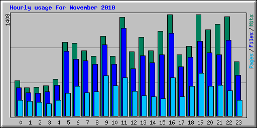 Hourly usage for November 2010