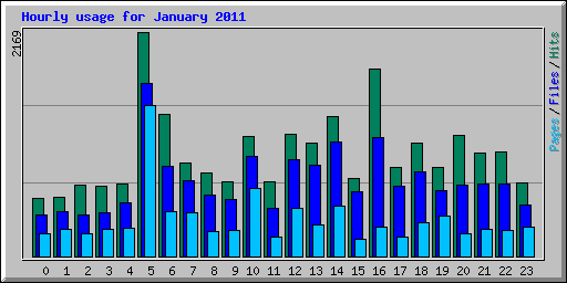 Hourly usage for January 2011