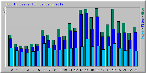 Hourly usage for January 2012