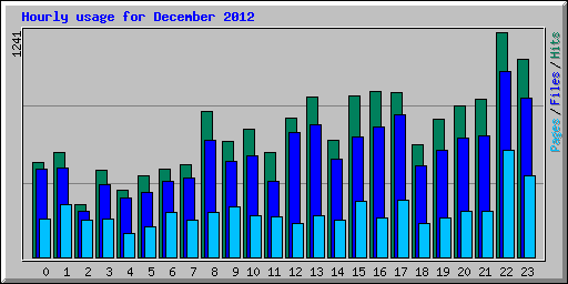 Hourly usage for December 2012