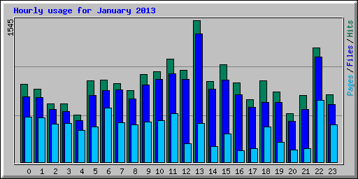 Hourly usage for January 2013