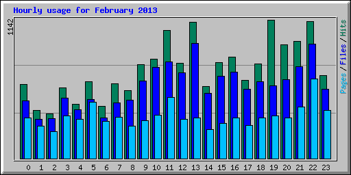 Hourly usage for February 2013