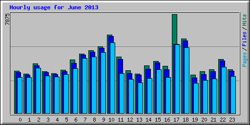 Hourly usage for June 2013