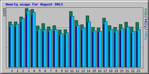 Hourly usage for August 2013