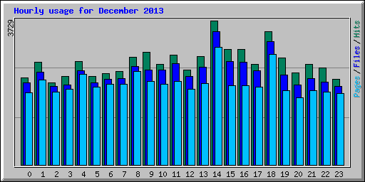 Hourly usage for December 2013