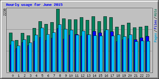 Hourly usage for June 2015