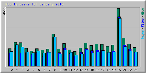 Hourly usage for January 2016