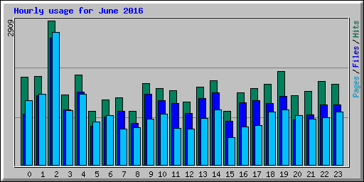 Hourly usage for June 2016