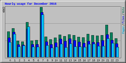 Hourly usage for December 2016