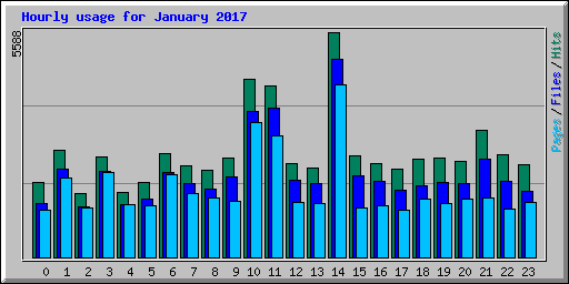 Hourly usage for January 2017